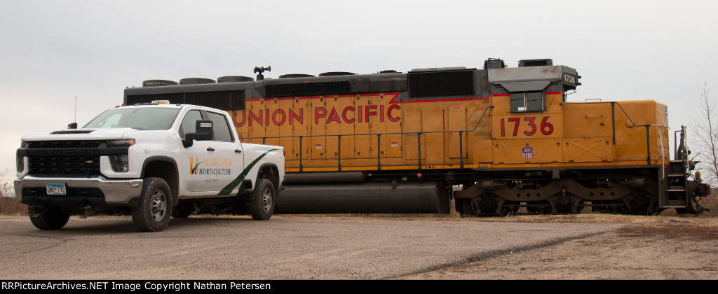 Work horses sit together